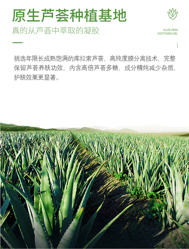 详情_06.jpg